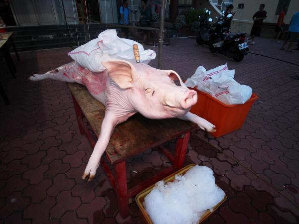 2020合界威揚宮普渡