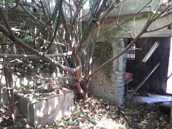 紅羅民宅116號記錄