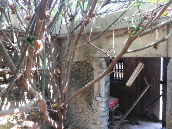 紅羅民宅116號記錄