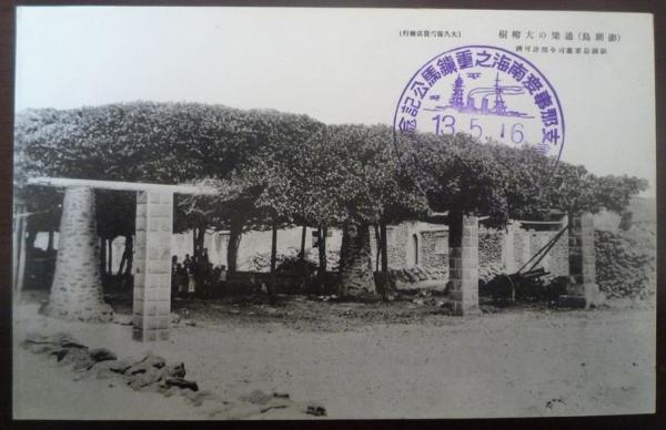 通梁古榕黑白影像記錄