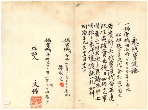 晚寒澎湖飄柳絮