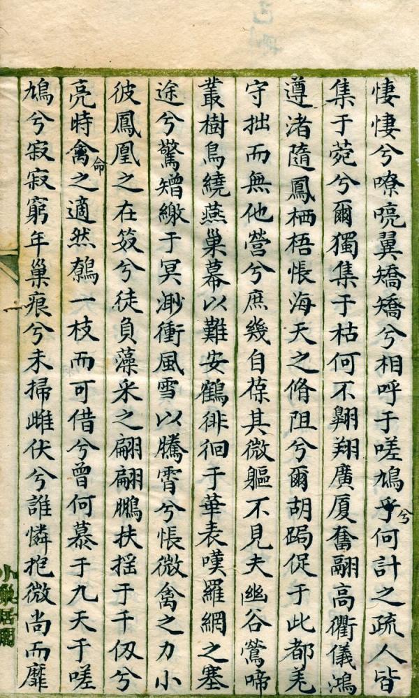 澎湖䳡鳩，食飽透東飛