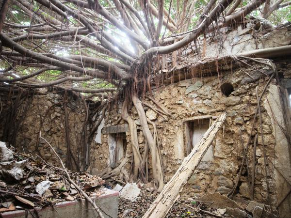 2021劉姓古厝記錄