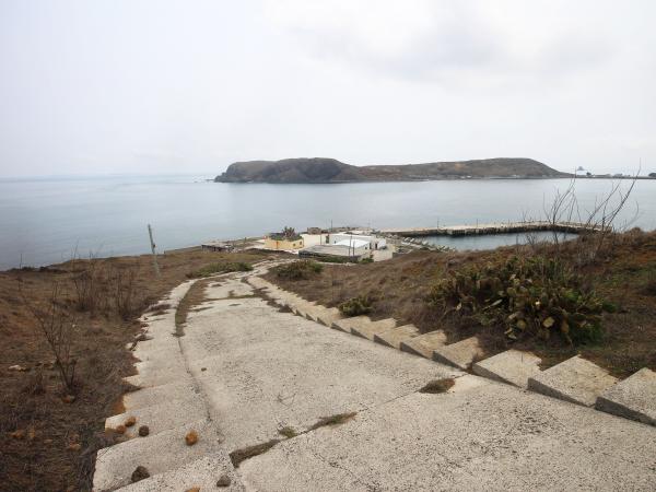 2021西坪村影像記錄