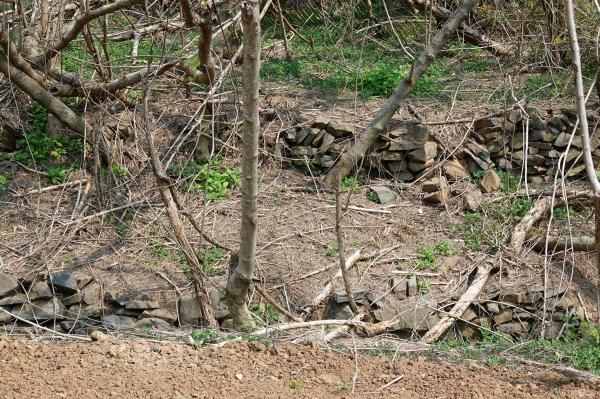 王屋至牛心山道路石界碑