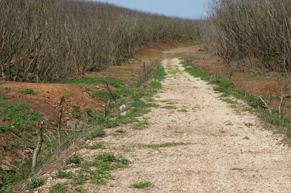 王屋至牛心山道路石界碑