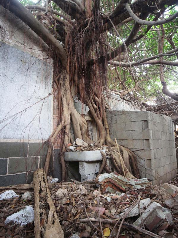 2021劉姓古厝記錄