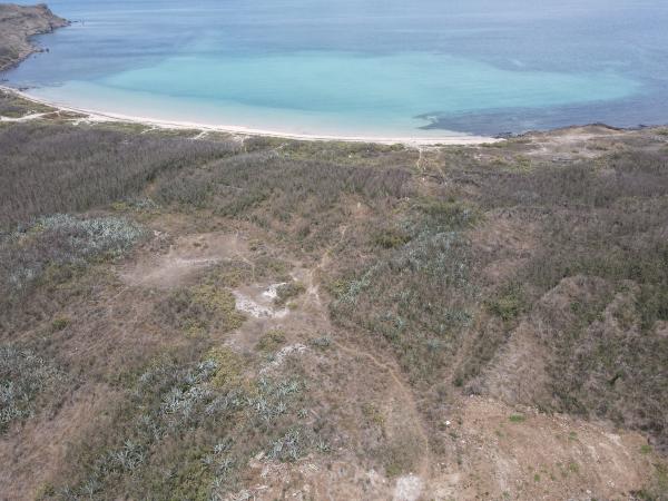 2021乳仔尖山記錄