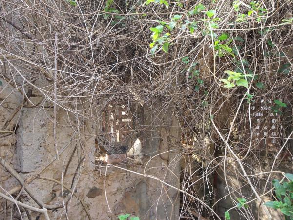 竹灣陳氏古厝113號（2021記錄）