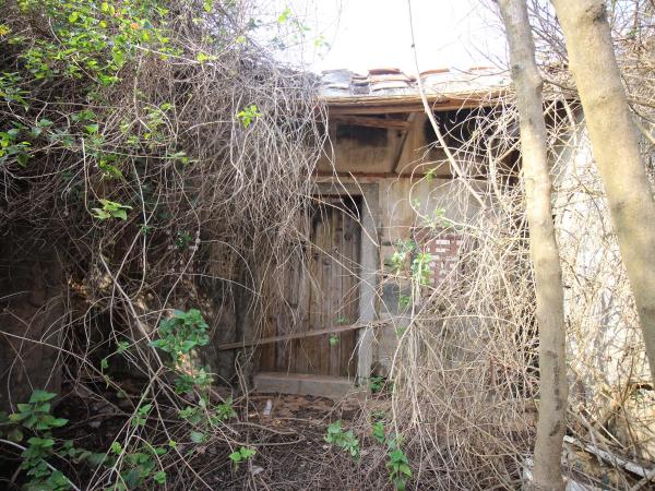 竹灣陳氏古厝113號（2021記錄）