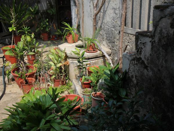 2021吳玉樹古宅記錄