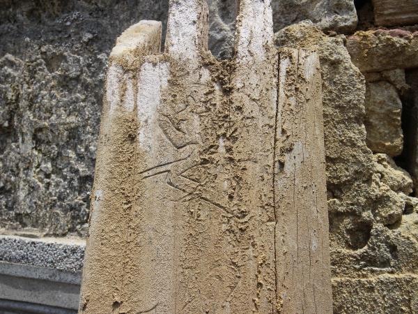 尖山宋氏古厝56號