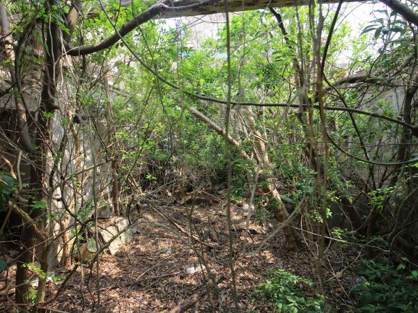 大池陳氏古厝97號