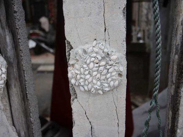 東吉林氏古厝26號