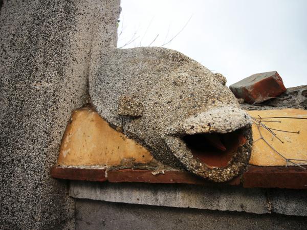 2021年東吉陳氏古厝（穎川堂）記錄