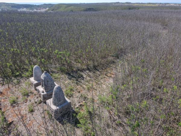 2021東三仙塔記錄