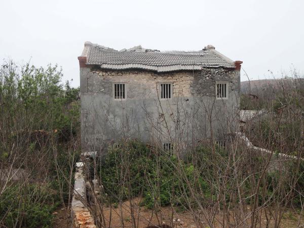 東吉林氏洋樓（林發和）