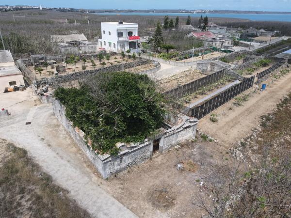 2021赤崁仔頭記錄