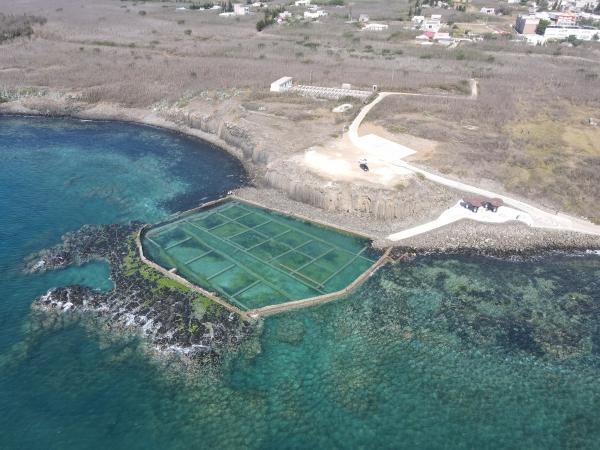 2021池西岩瀑記錄