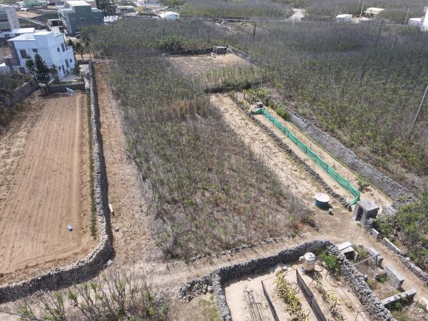 2021赤崁仔頭記錄