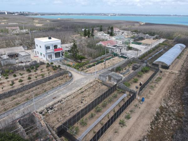 2021赤崁仔頭記錄