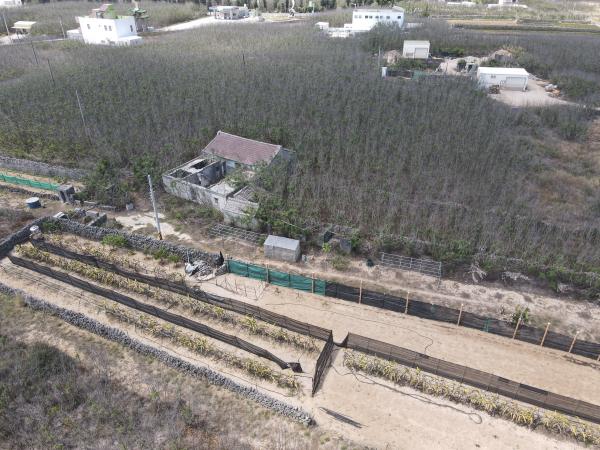 2021赤崁仔頭記錄