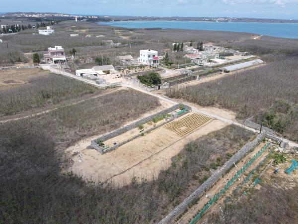 2021赤崁仔頭記錄