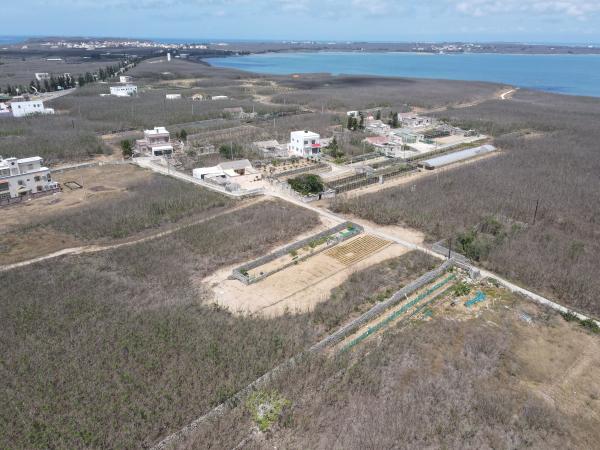 2021赤崁仔頭記錄