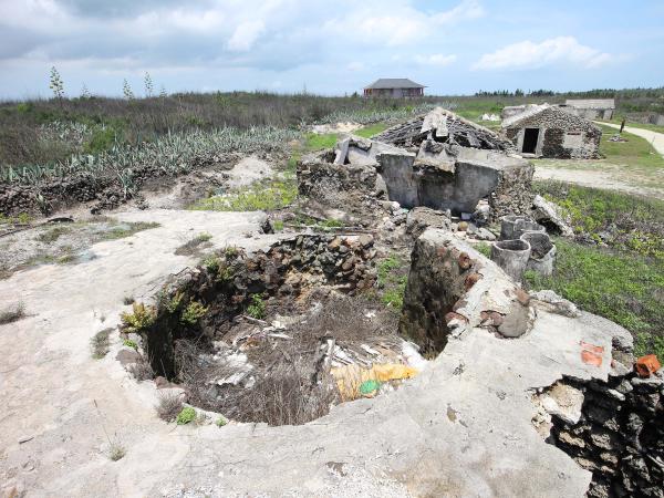 2021白坑灰窯記錄