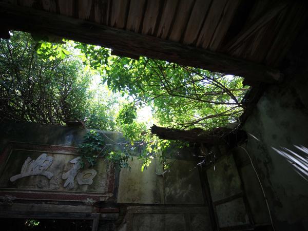 2021城前林氏古宅記錄