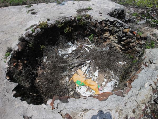 2021白坑灰窯記錄