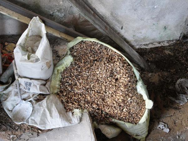 2021白坑灰窯記錄