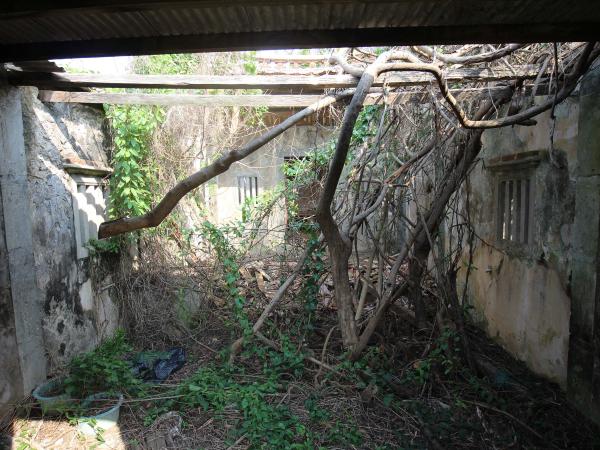 2021港子蕭姓古宅記錄