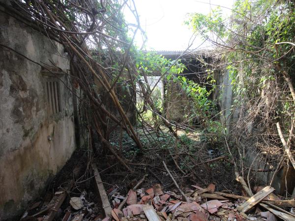 2021港子蕭姓古宅記錄