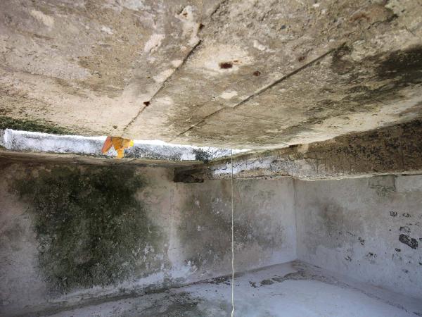 2021白坑灰窯記錄