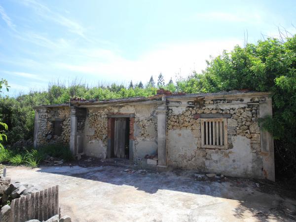 2021城前林氏古宅記錄