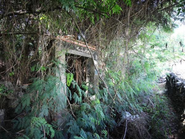 竹灣謝氏古厝184號