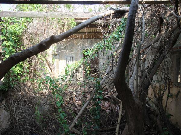 2021港子蕭姓古宅記錄