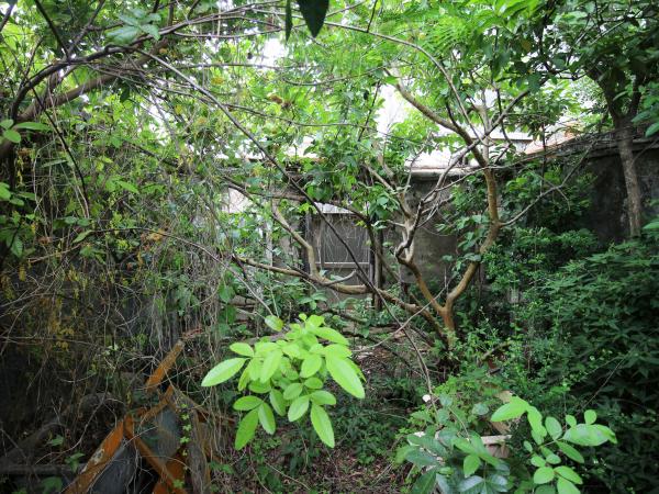 2021胡氏古厝記錄