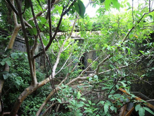 2021胡氏古厝記錄