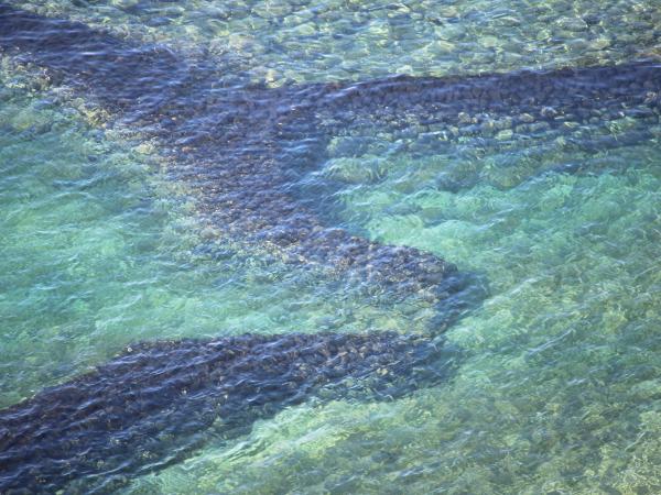 2021雙心石滬記錄