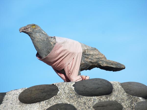 2021神鷹寶塔記錄