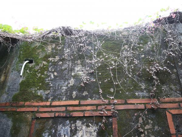 安宅蔡氏古宅36號