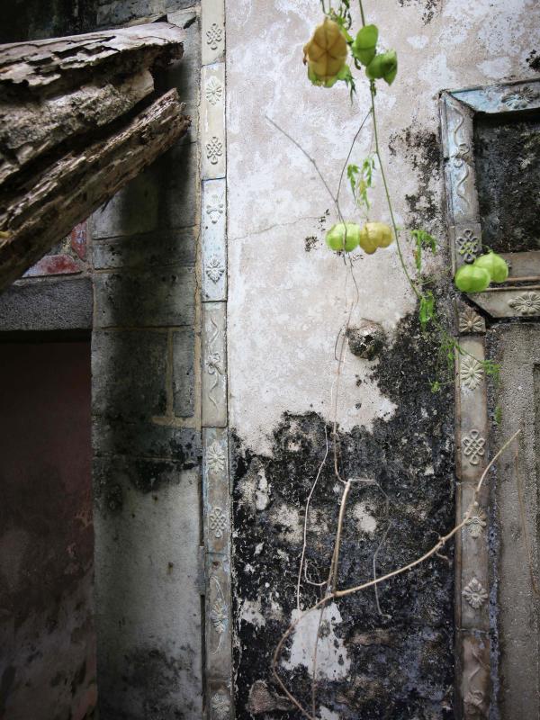 2021胡氏古厝記錄