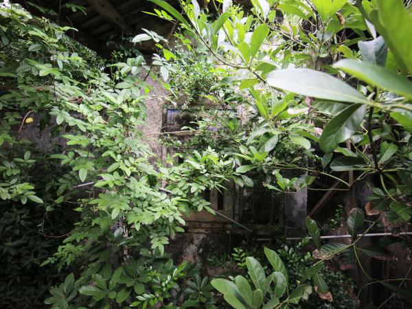 2021胡氏古厝記錄