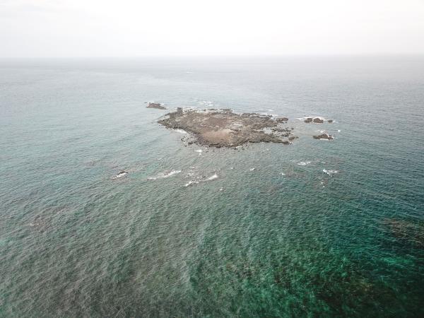 2021北塭（三塭）記錄