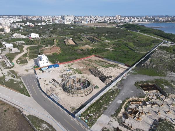 2021草樹仔尾及周圍記錄