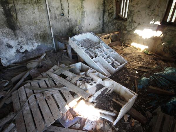 2021黃建發船行記錄