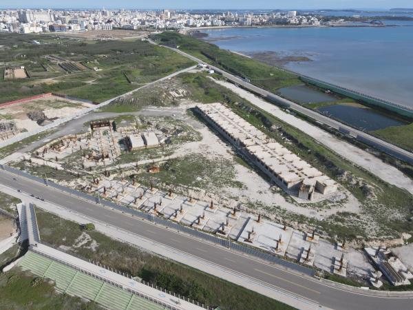 2021草樹仔尾及周圍記錄