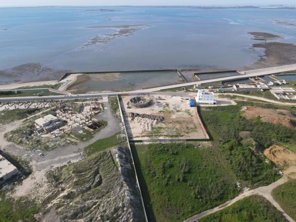 2021草樹仔尾及周圍記錄